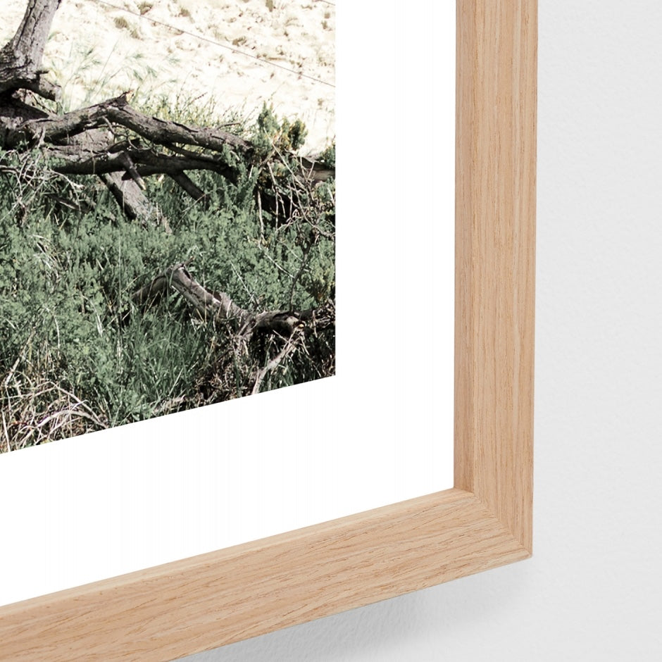 WARTHRDUW4_Through the Dunes Print 88 x 103cm