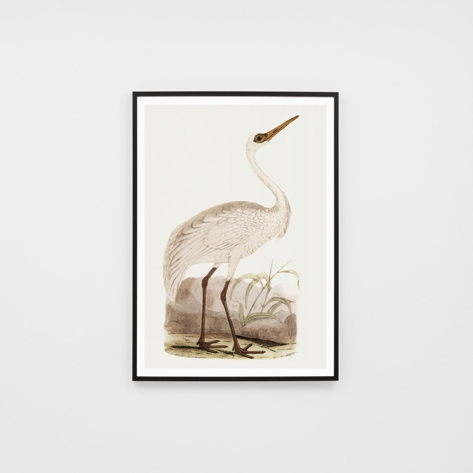 WARVINWAB2G5_Vintage Water Bird 2 Print 100 x 140cm