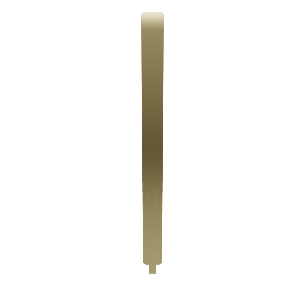 Cali Cabinet Pull With Backplate Polished Brass Ctc 256Mm