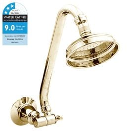 Noosa Shower Rose & Arm Only, Gold PVD