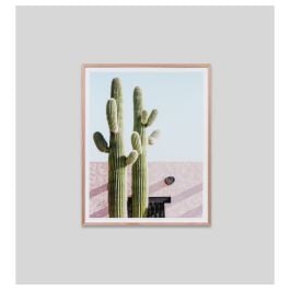Cactus Villa Print