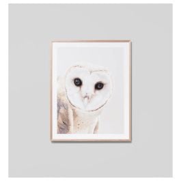 Curious Owl Print, Raw