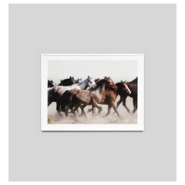 Galloping Ponies Print