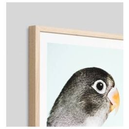Parrot 1 Print