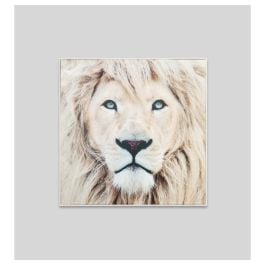 Winter Lion Canvas Print