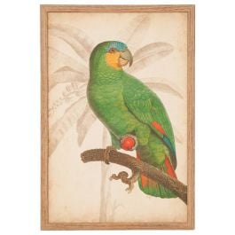 Parrot and Palm 1 Print