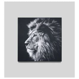Lion Mane Canvas Print