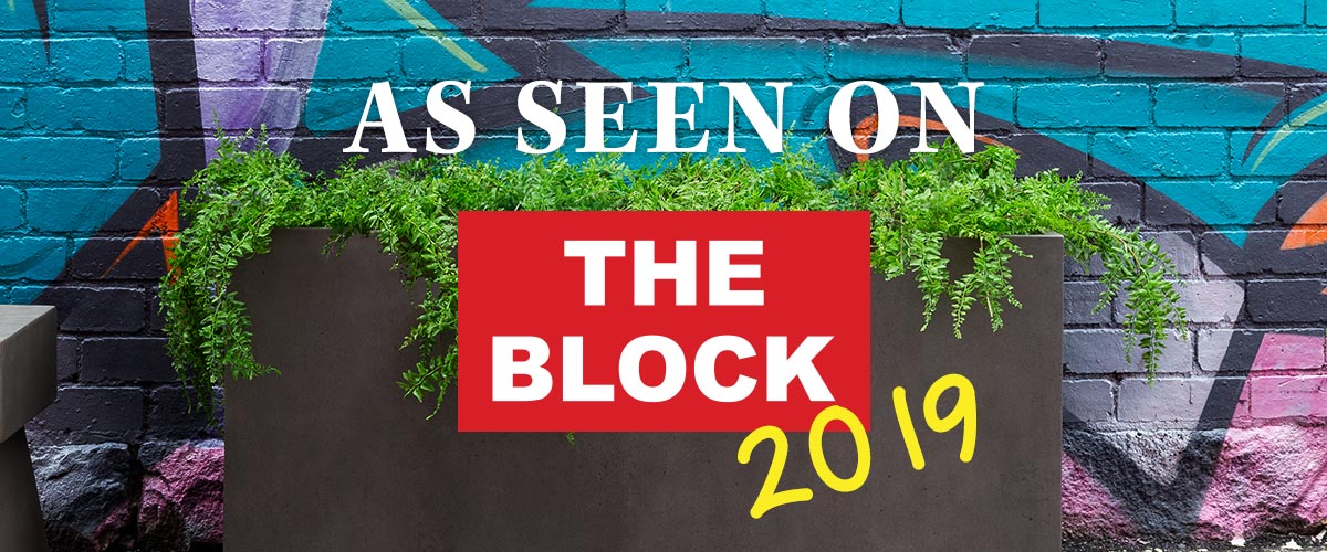Schots Proud Sponsor of the Block 2019