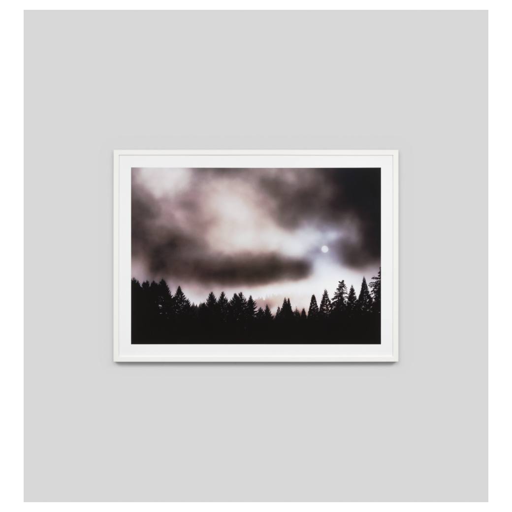 Moon Forest Print