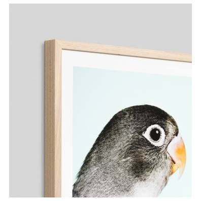 Parrot 1 Print