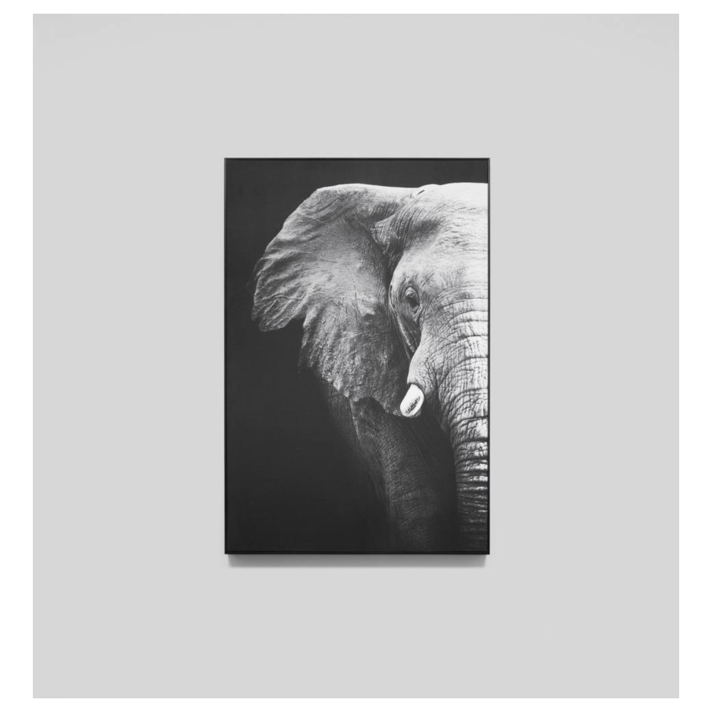 African Elephant Print, Black