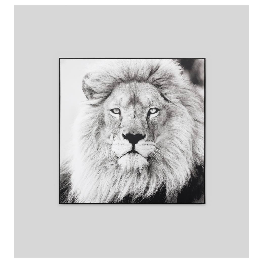 Black lion Canvas Print